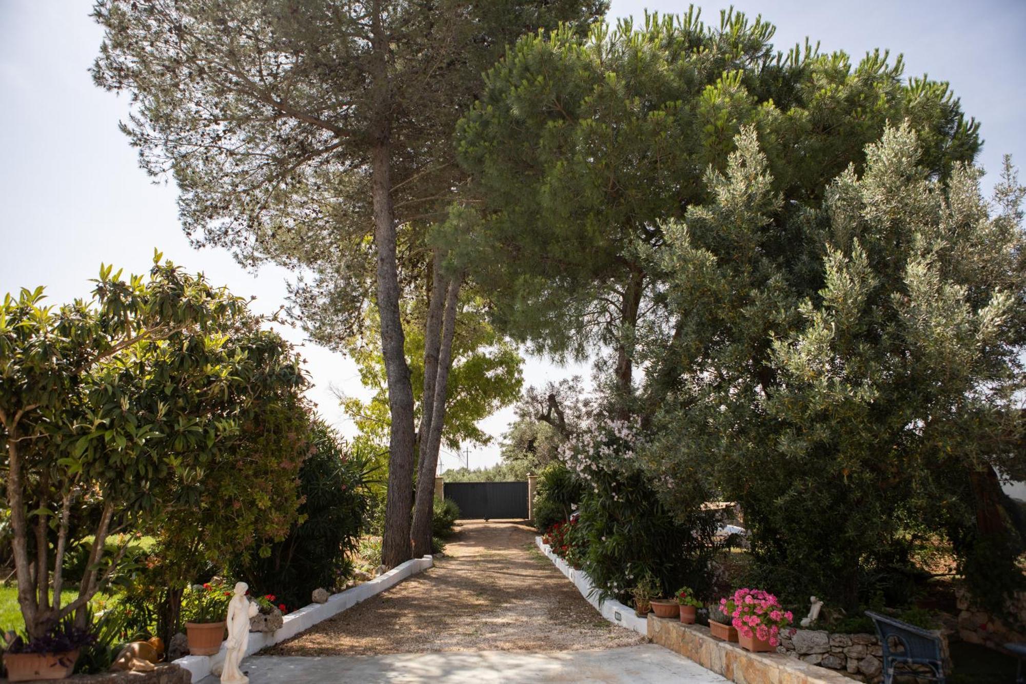Trullo Nonna Netta Con Piscina Idromassaggio E Area Giochi Villa Ceglie Messapica Exterior photo