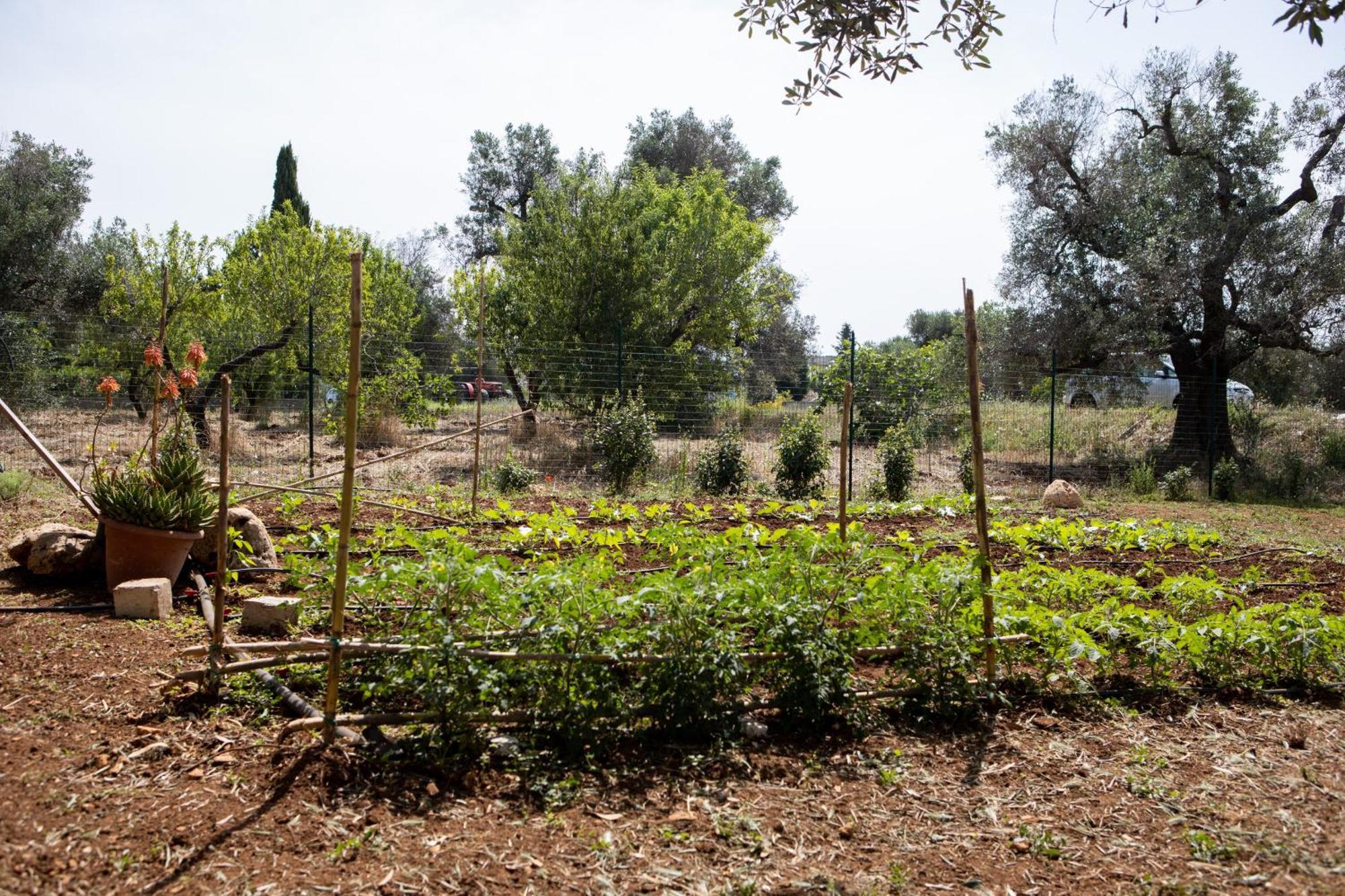 Trullo Nonna Netta Con Piscina Idromassaggio E Area Giochi Villa Ceglie Messapica Exterior photo